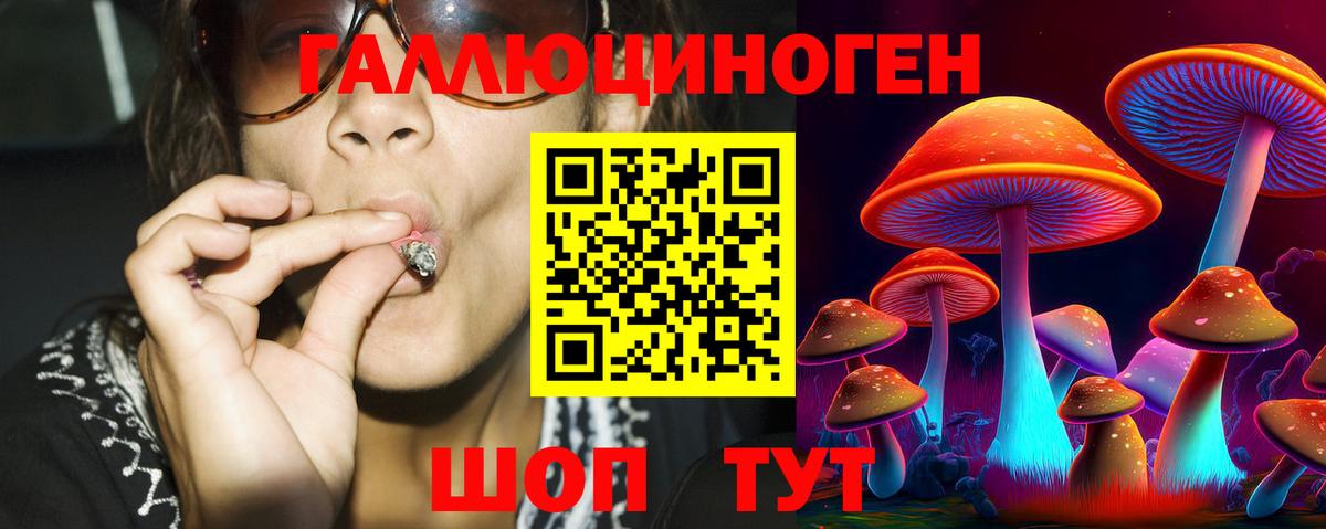 Псилоцибиновые грибы мухоморы  Вход с VPN  Балтийск  Псилоцибиновые грибы прущие грибы 