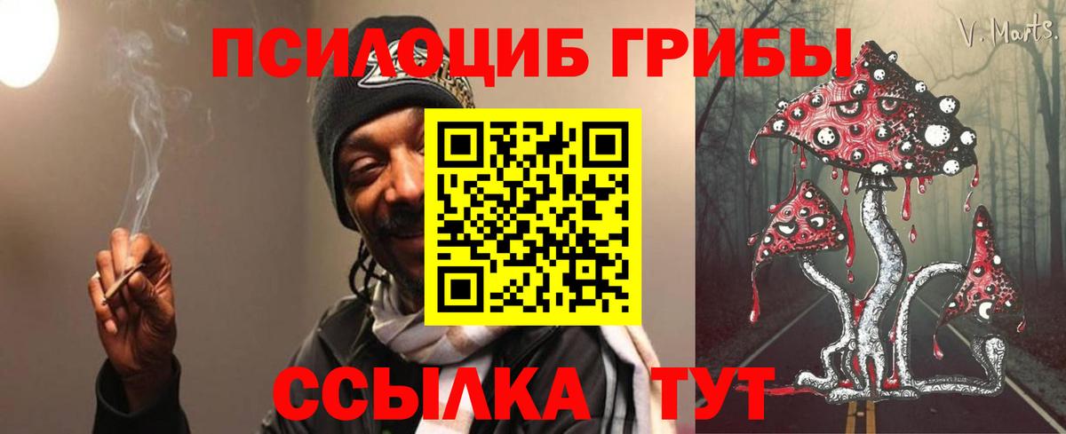 Галлюциногенные грибы мицелий Балтийск